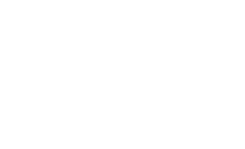Bolt-Goodly-White-Logo